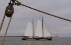 Wind in de snor!