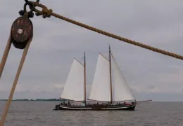Wind in de snor!